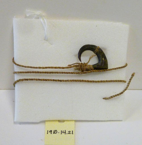 Fishhook with cord