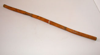 Dart gun