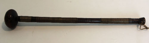 Walking stick
