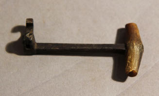 Tooth extractor