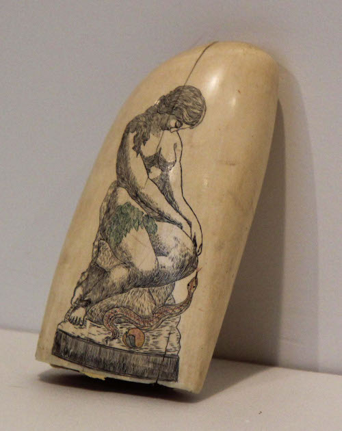 Scrimshaw