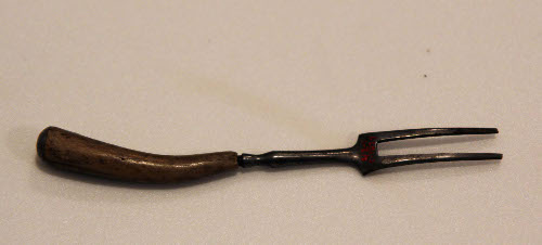 Two-pronged fork
