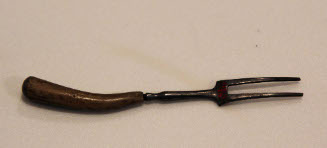 Two-pronged fork