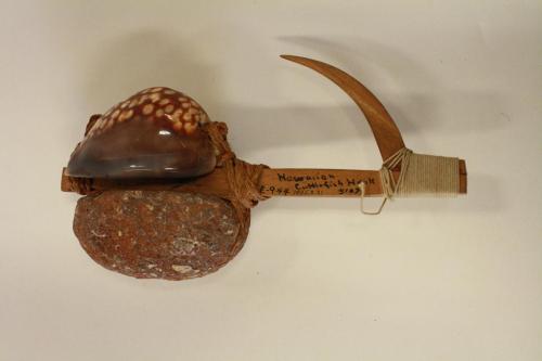 Fish hook