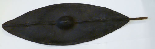 Shield