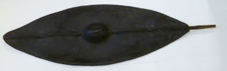 Shield