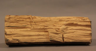 Piece of the Washington Oak