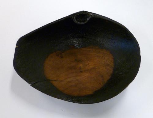 Dish