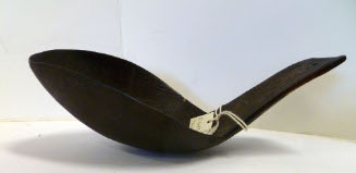 Spoon