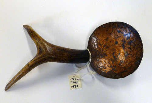 Spoon
