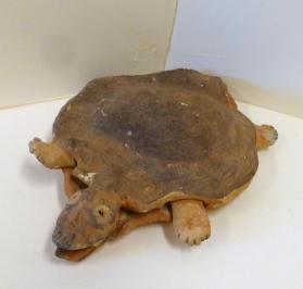 Effigy