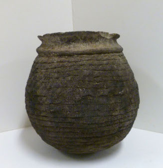 Pitcher