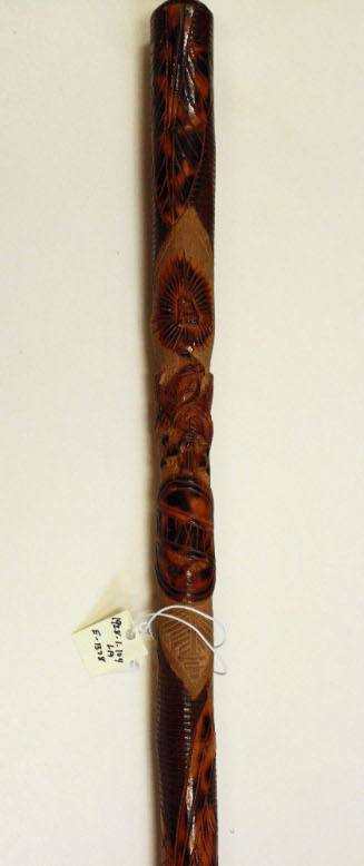 Walking stick