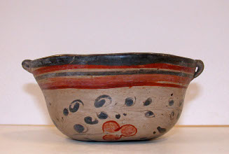 Dish