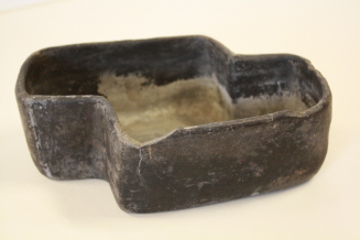 Dish