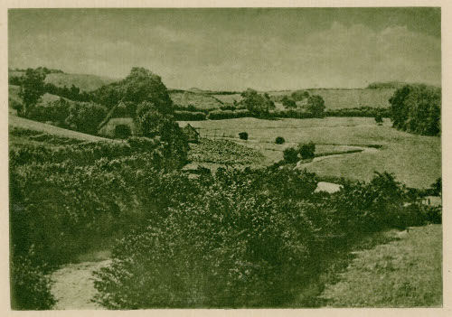 Meadow-Brook