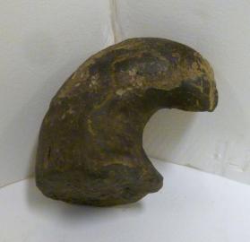 Fossil