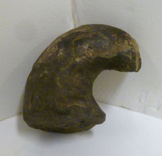 Fossil