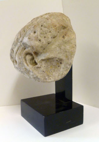 Head (fragment)