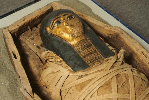 Mummy in mummiform coffin