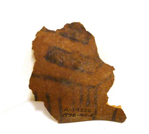 Gourd segment
