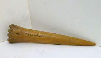 Bone awl or pizcador
