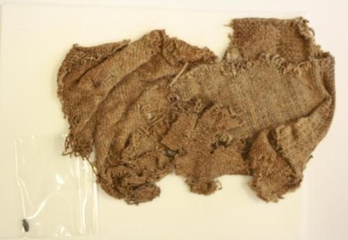 Fabric fragment