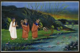 Discovery of Krishna