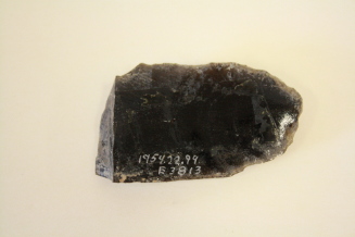 Spear point fragment
