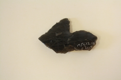 Spear point fragment