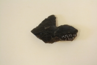 Spear point fragment
