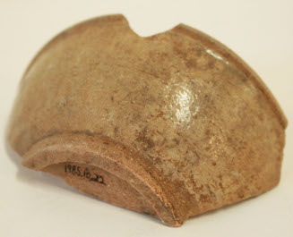 Bowl shard