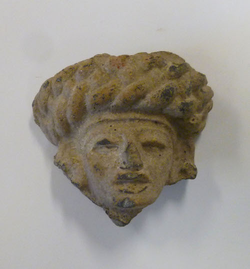 Head