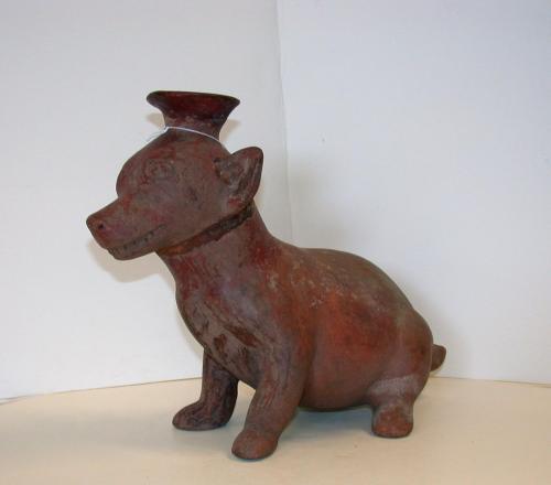 Dog vessel
