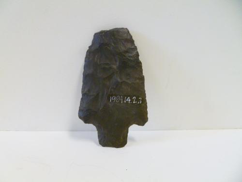 Projectile point