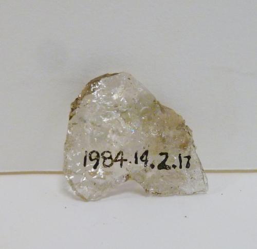 Projectile point