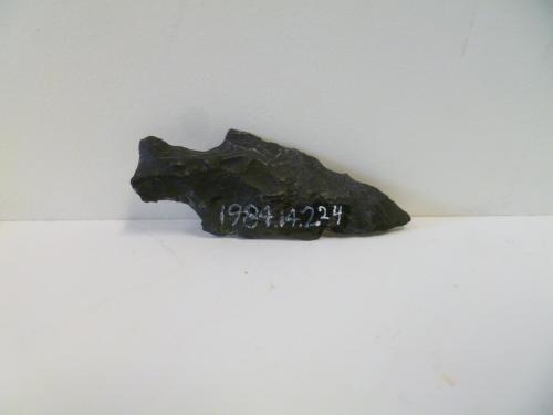 Projectile point