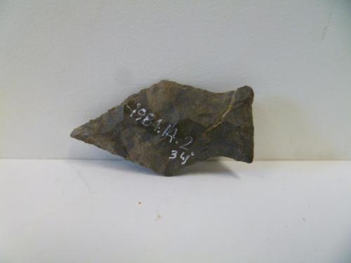 Projectile point