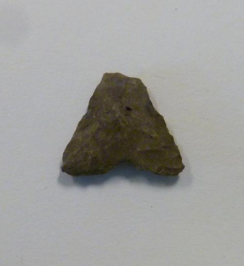 Projectile point