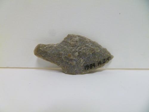 Projectile point