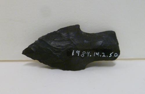 Projectile point