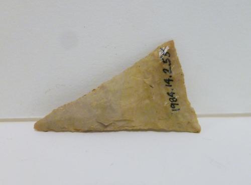 Projectile point