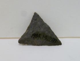 Projectile point