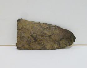 Projectile point