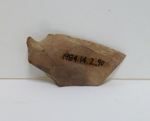 Projectile point