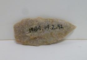 Projectile point