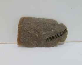 Projectile point