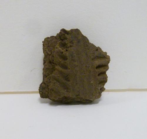 Potsherd