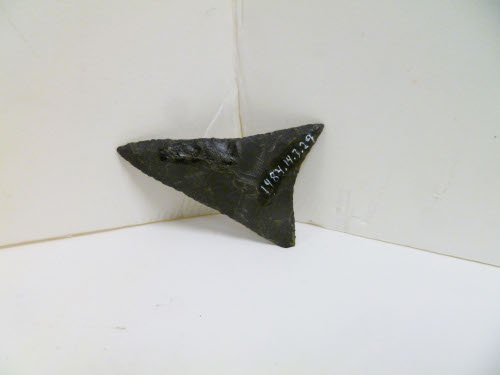 Projectile point