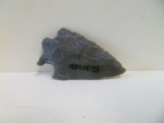 Projectile point
